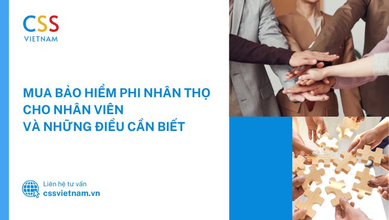 bảo hiểm cho nhân viên