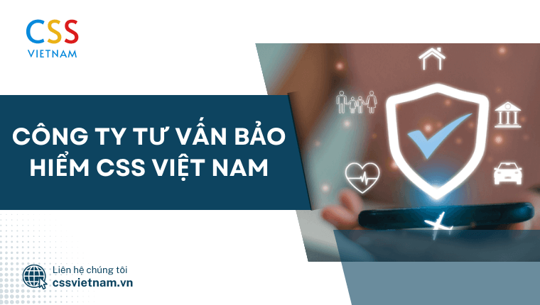 công ty bảo hiểm uy tín