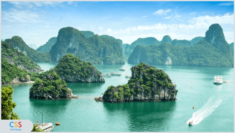 bảo hiểm du lịch trong nước
